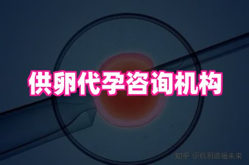 国际助孕网 4